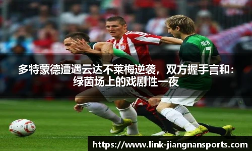江南体育入口
