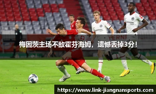 梅因茨主场不敌霍芬海姆，遗憾丢掉3分！